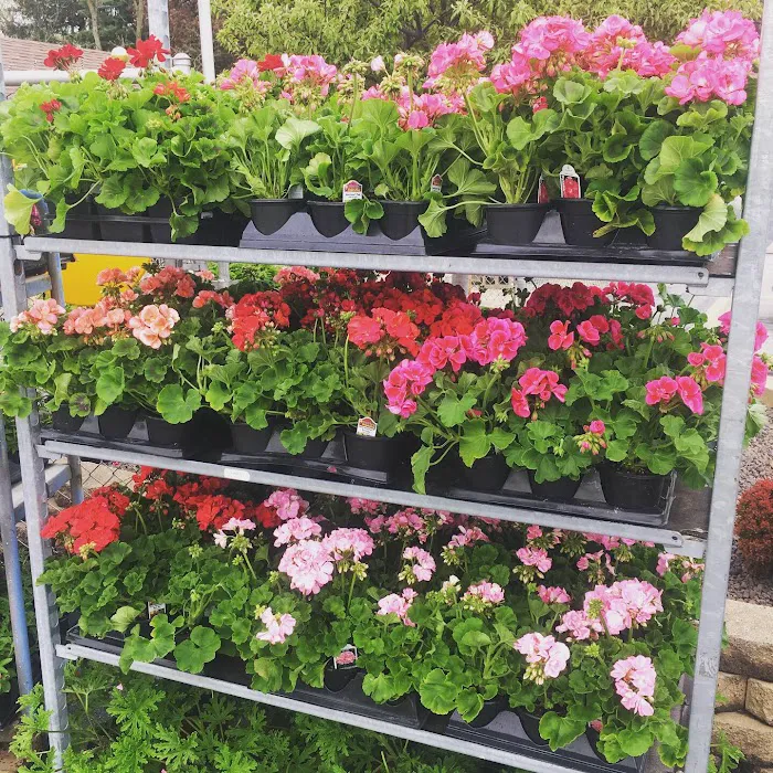 RAL Landscaping & Garden Center Picture 5