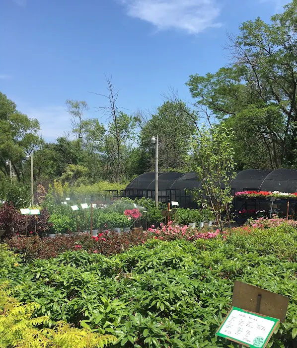 RAL Landscaping & Garden Center Picture 3