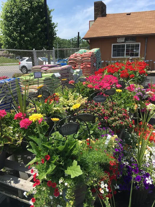 RAL Landscaping & Garden Center Picture 10