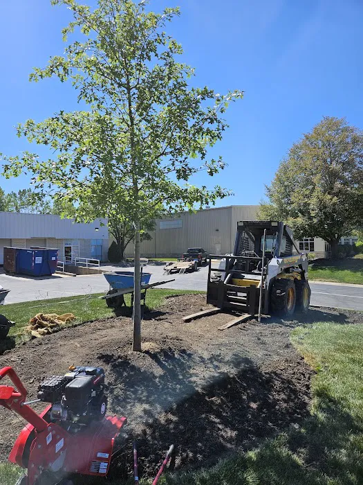 Star Landscaping Picture 4