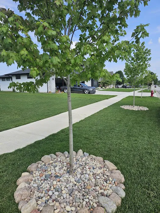 Star Landscaping Picture 7