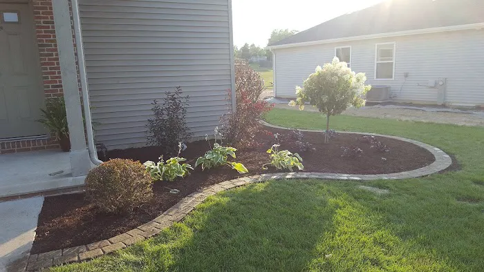 Star Landscaping Picture 1