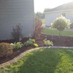 Star Landscaping