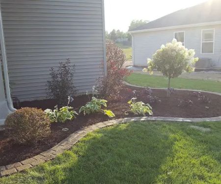 Star Landscaping