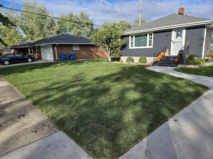 Star Landscaping Picture 10