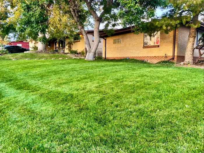 Alleygator Lawn Service LLC in Northwest IN Picture 4