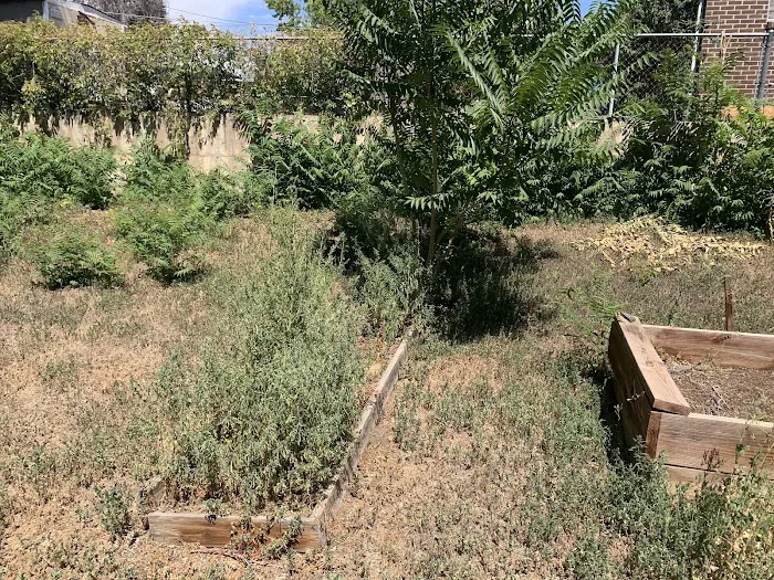 Alleygator Lawn Service LLC in Northwest IN Picture 8