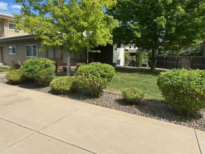 Alleygator Lawn Service LLC in Northwest IN Picture 2