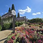 Ball Horticultural Co