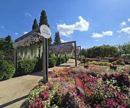 Ball Horticultural Co
