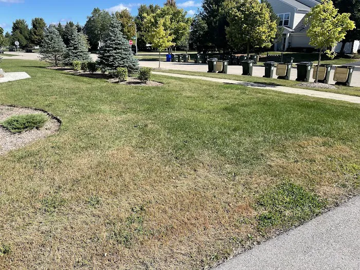 Classic Landscape Ltd Picture 8