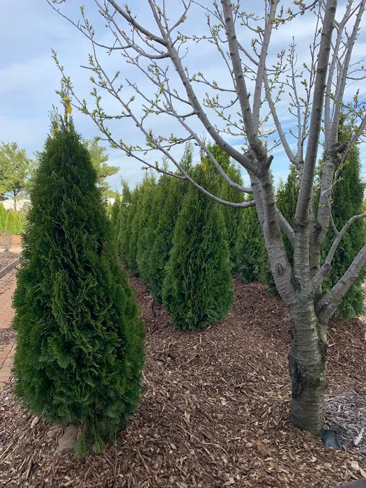 E&O Landscaping Picture 5