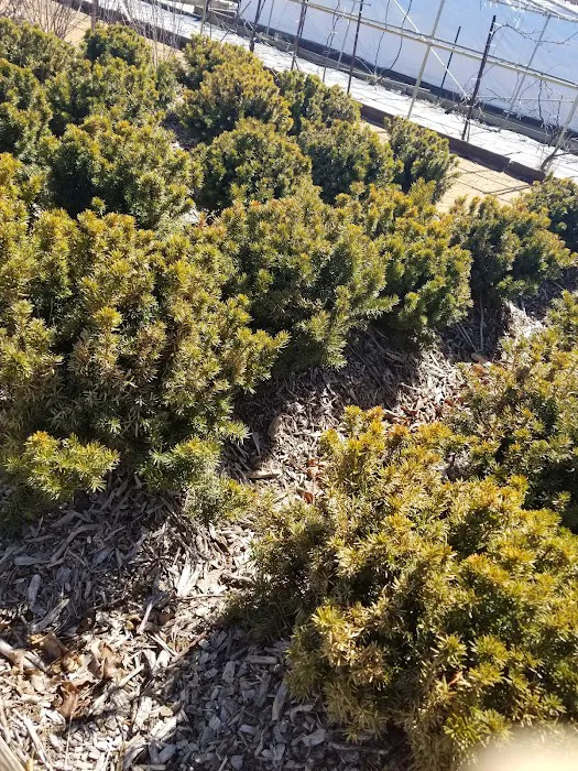 E&O Landscaping Picture 4