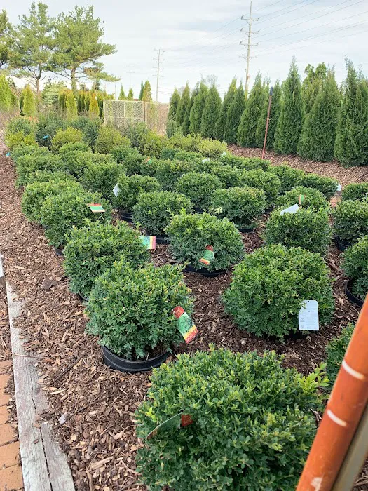 E&O Landscaping Picture 10