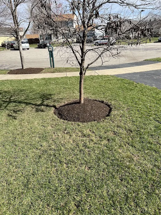 LJ Landscaping Inc Picture 5