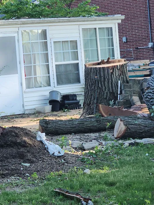 LJ Landscaping Inc Picture 7