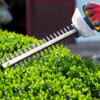 Diamond Cuts Landscaping and Commercial Snow Removal ico