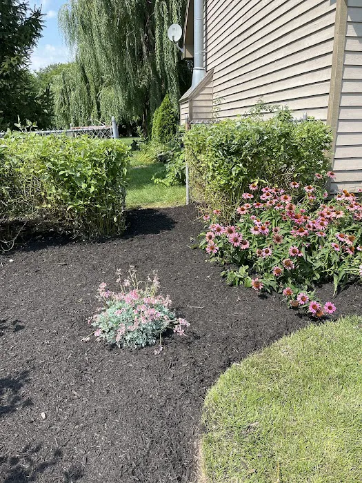 Armstrong Lawn Care Services LLC Picture 6