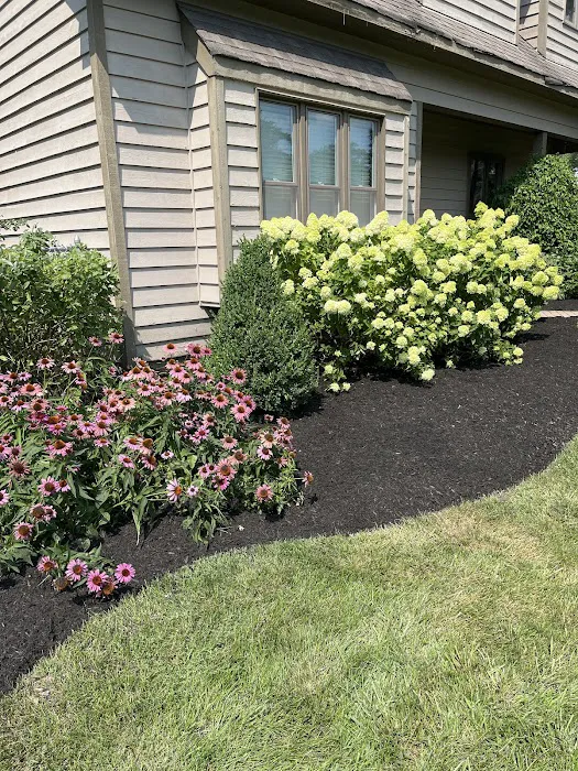 Armstrong Lawn Care Services LLC Picture 4