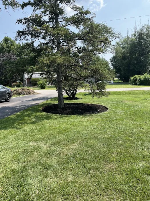 Armstrong Lawn Care Services LLC Picture 3