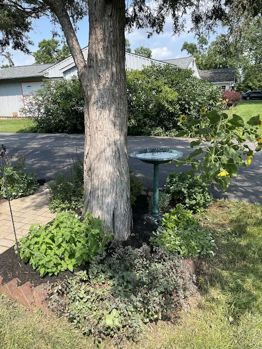 Armstrong Lawn Care Services LLC Picture 1
