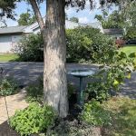 Armstrong Lawn Care Services LLC