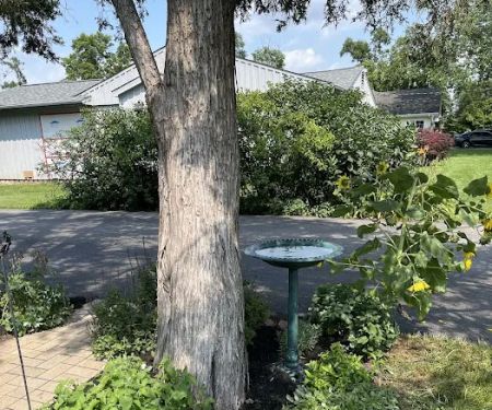 Armstrong Lawn Care Services LLC