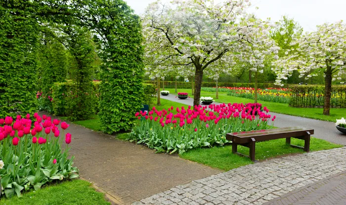 Bloom Touch Landscaper Picture 6
