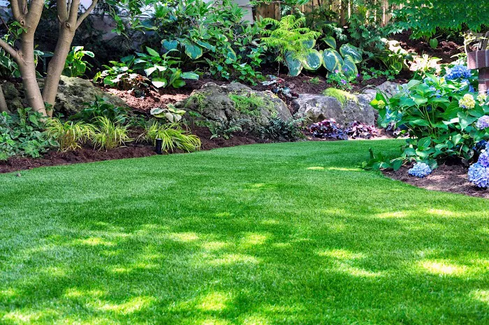 Bloom Touch Landscaper Picture 7