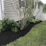 Augusta Lawn Care and Holiday Lights of Oswego