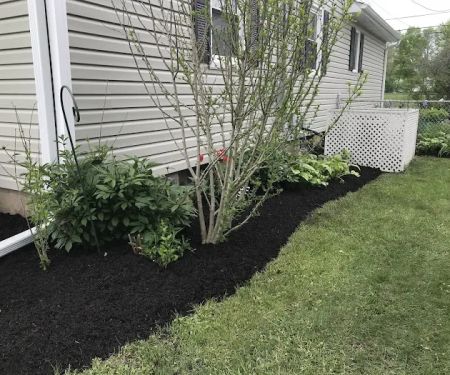 Augusta Lawn Care and Holiday Lights of Oswego
