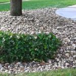 Corey's Landscaping and Home Maintenance