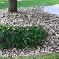 Corey's Landscaping and Home Maintenance ico