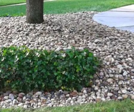 Corey's Landscaping and Home Maintenance