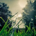 Shreve Services Landscape Materials & Delivery