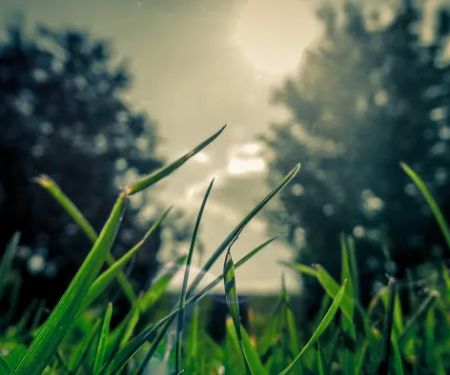 Shreve Services Landscape Materials & Delivery