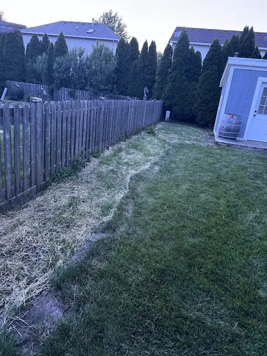 Better Green Landscape Picture 5