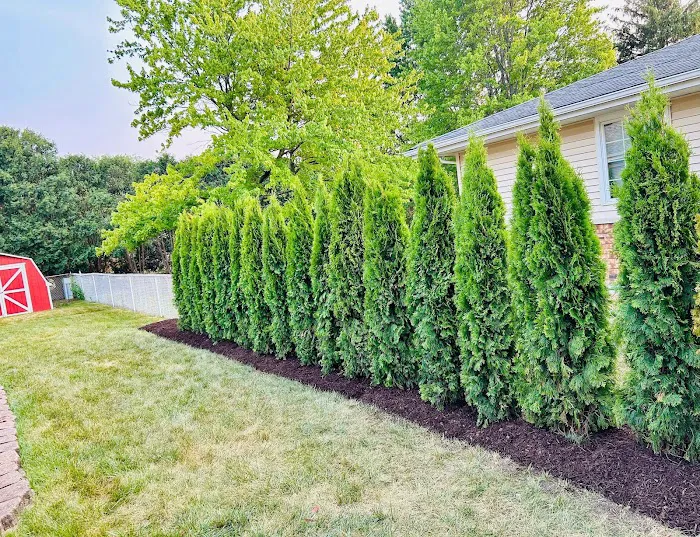 Armando's Landscape Services Inc. Picture 6