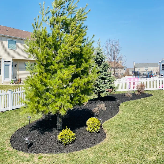 Armando's Landscape Services Inc. Picture 5