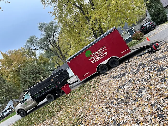 Armando's Landscape Services Inc. Picture 2