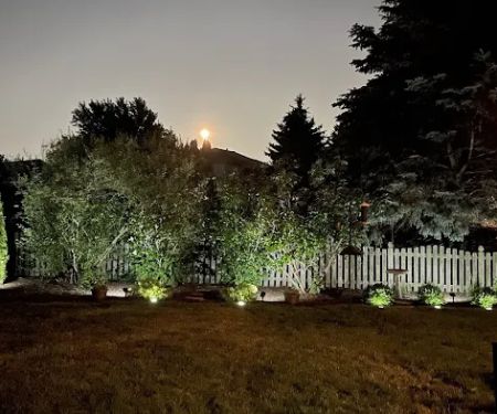 Armando's Landscape Services Inc.