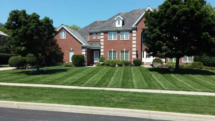 A. Herrera Landscaping Picture 4
