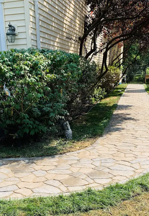 A. Herrera Landscaping Picture 8