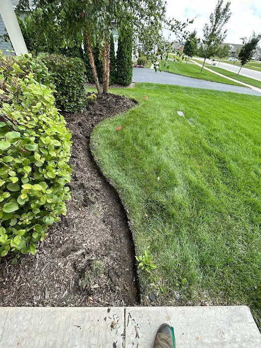 Marin Landscaping Inc Picture 9