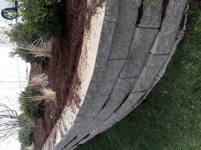 Silva Residential landscaping Picture 5