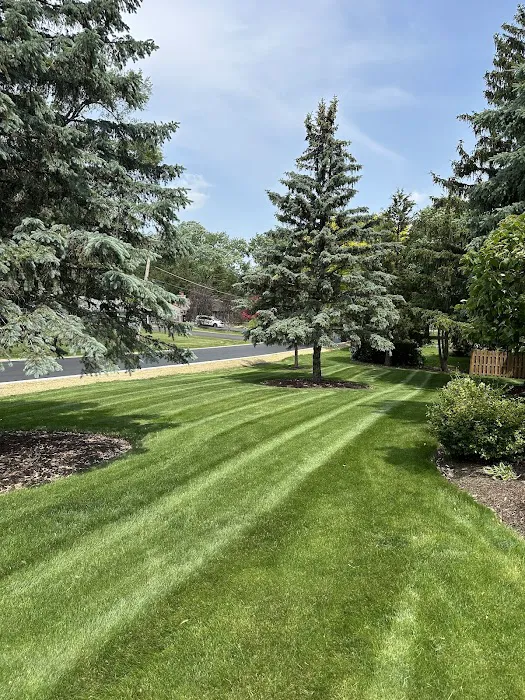 Greyscape Property Maintenance LLC Picture 8