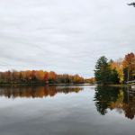 Doering Landscape Company
