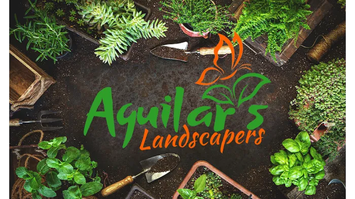 Aguilar's Landscapers Picture 8