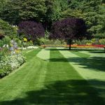 Twins & Family Landscaping