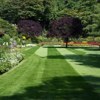 Twins & Family Landscaping ico